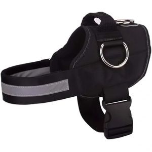 Joy ride harness